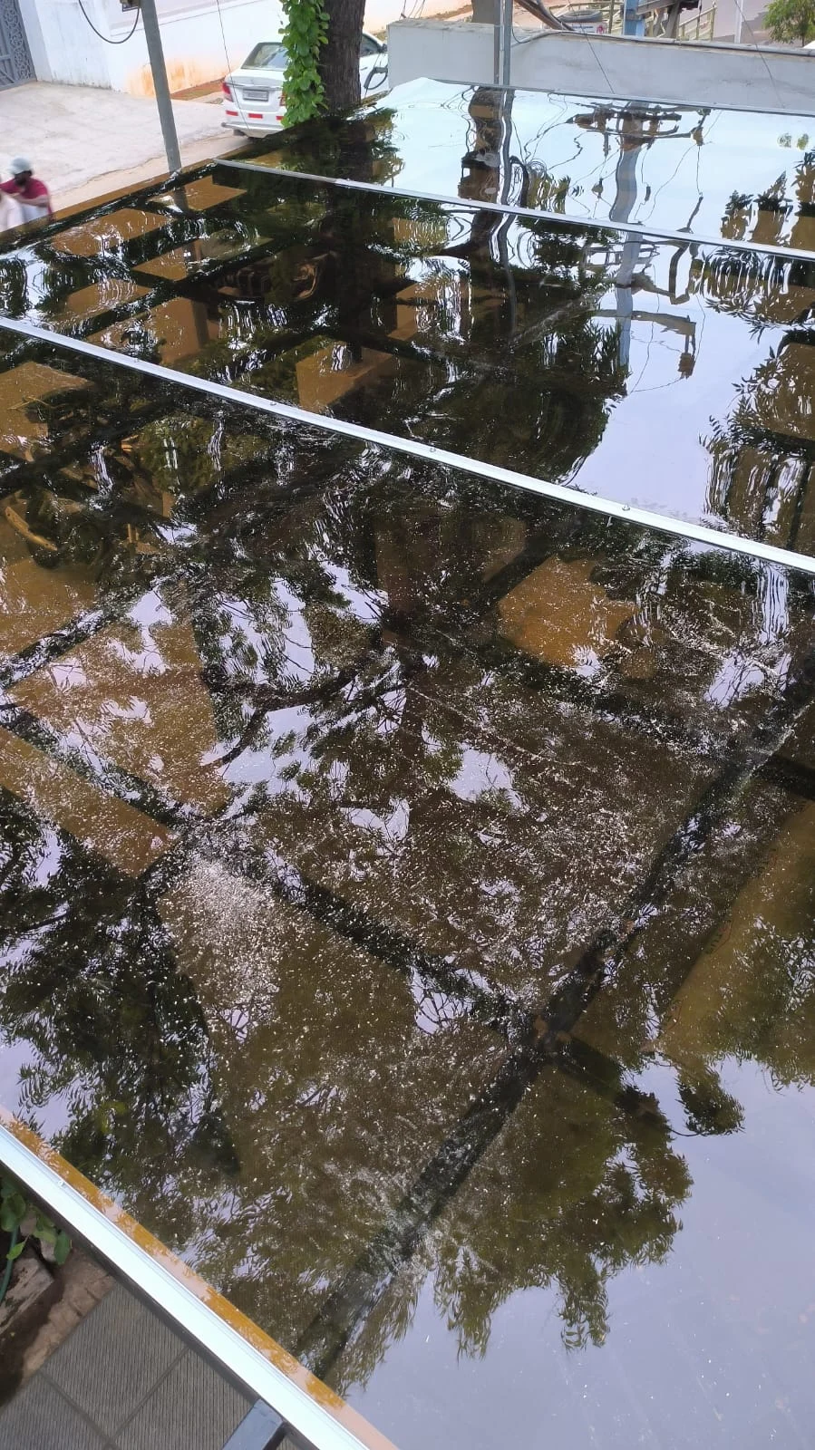Reflective canopy surface. Global Engineering project photograph